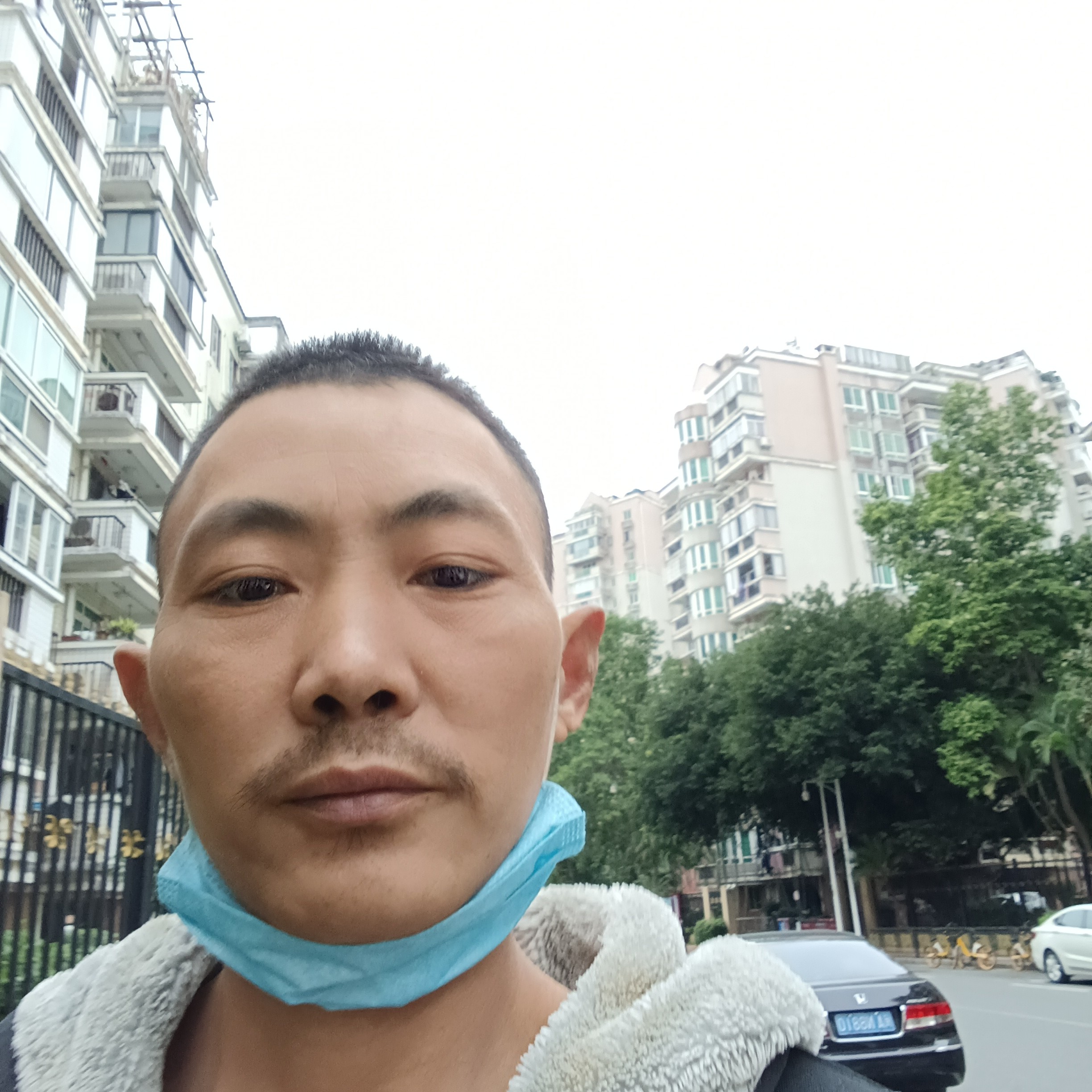 高高等待花瓣的照片