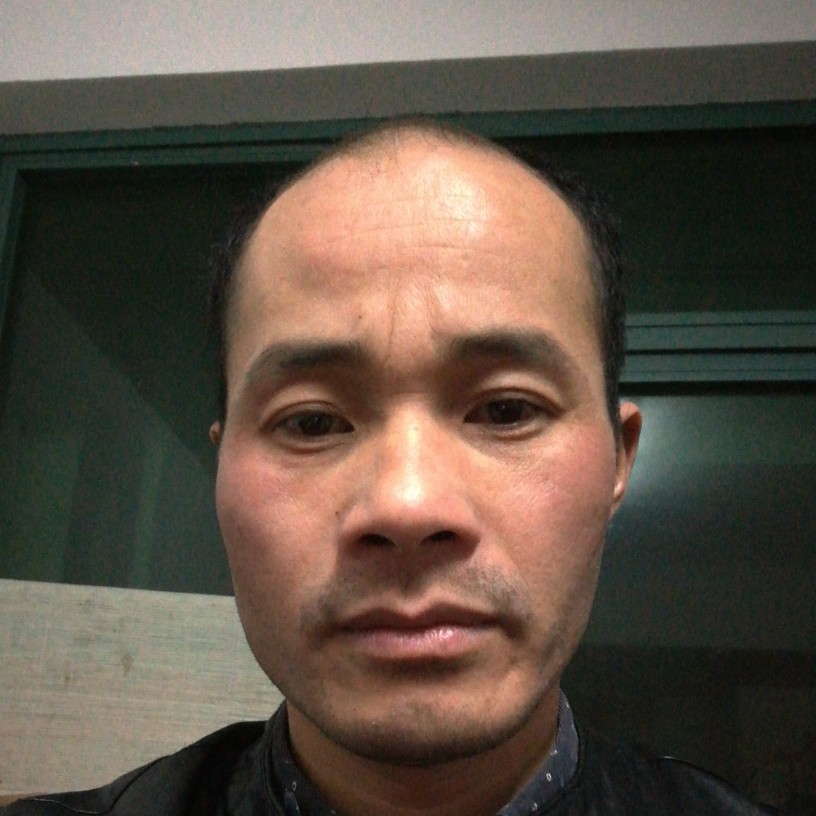 在逆境中成长的照片
