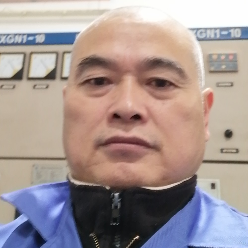 狗高贵的照片