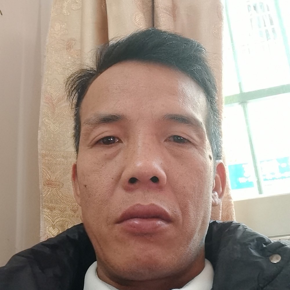 孤雁何以相飞的照片