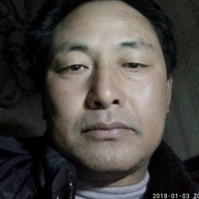 个性鸭子的照片