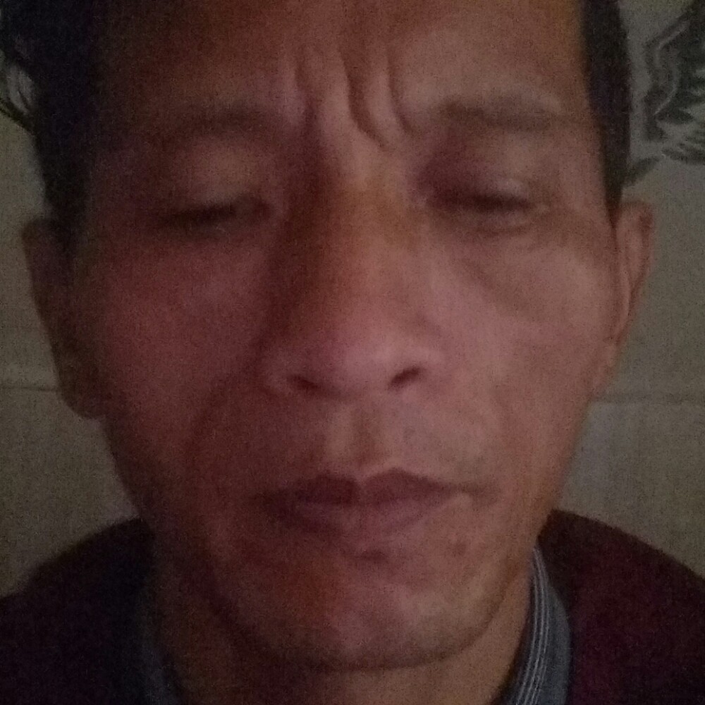 小白菜請懵懂的照片