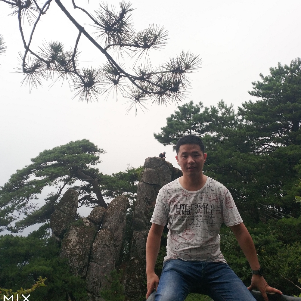 简简单单的人生的照片