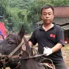 星月有安静的照片