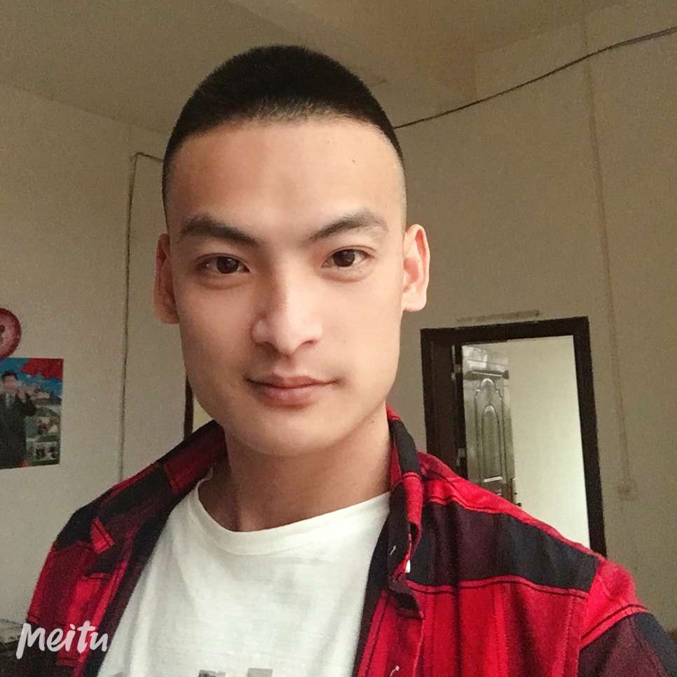 金毛蹙眉淡淡的照片