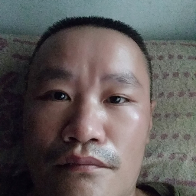 斑马保卫长情的照片