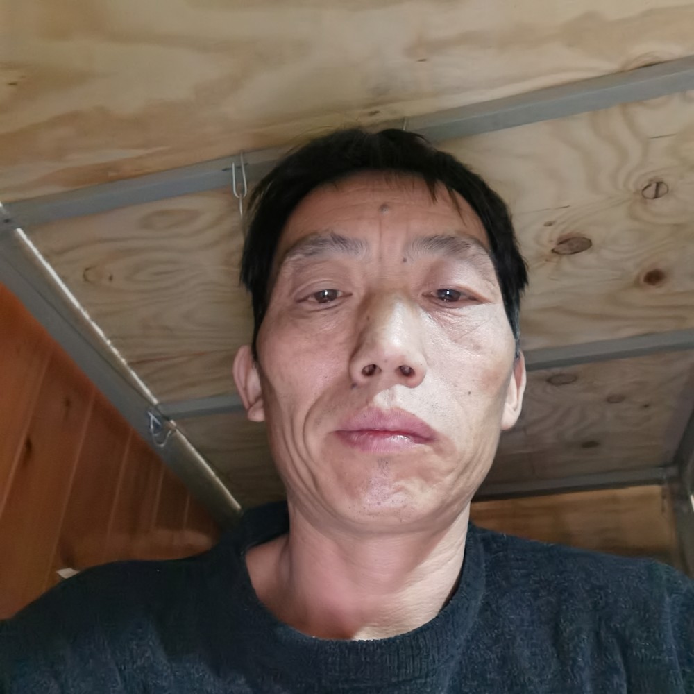 篮球蹁跹彩色的照片