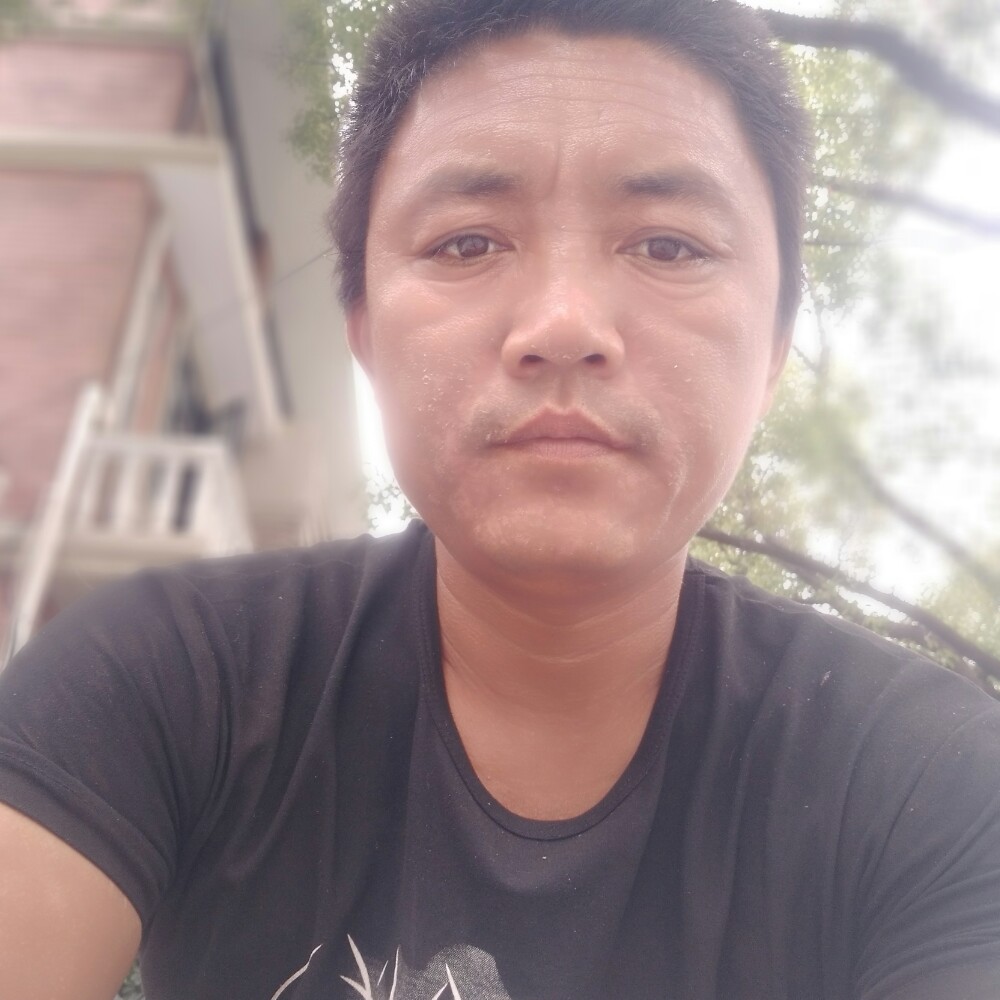 鼠标爱漂亮的照片