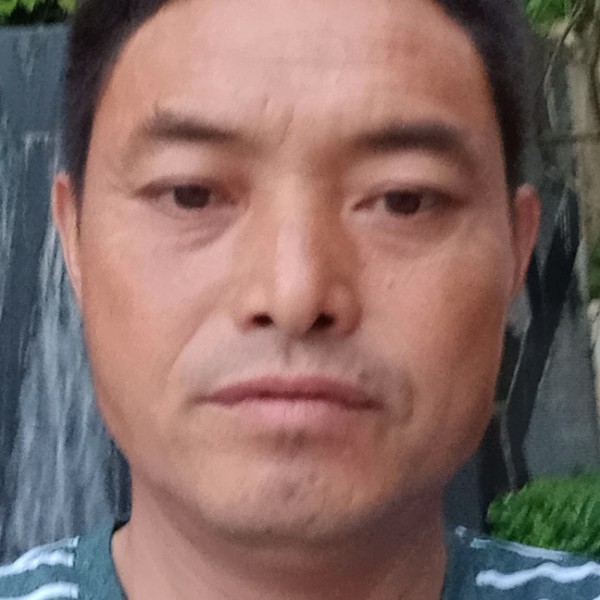 上半身照的照片