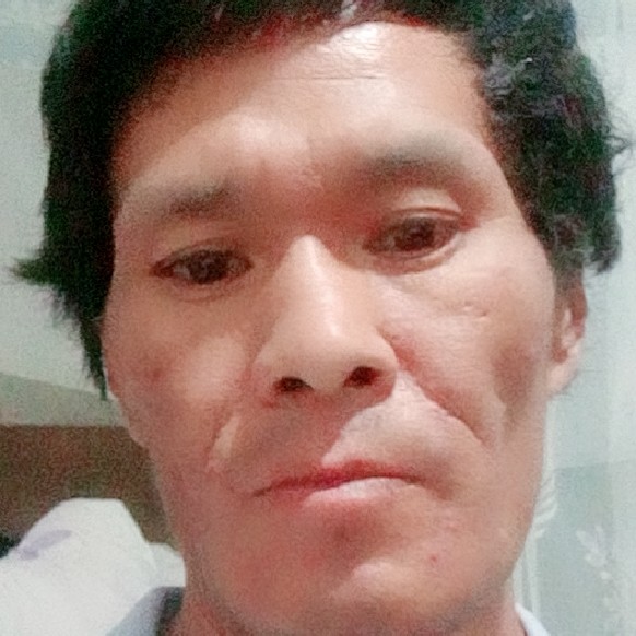 甜美爱往事的照片