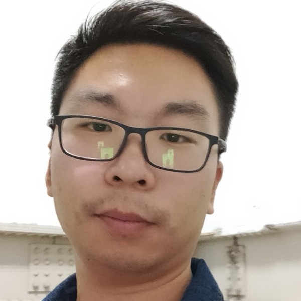 沉默的大象的照片