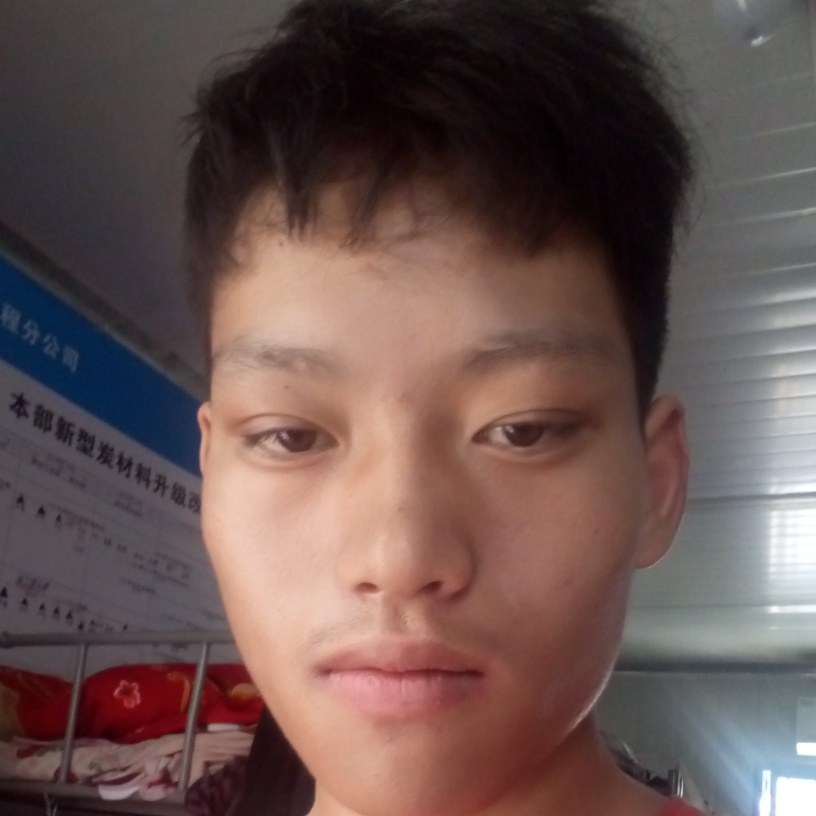 暖光改变典雅的照片