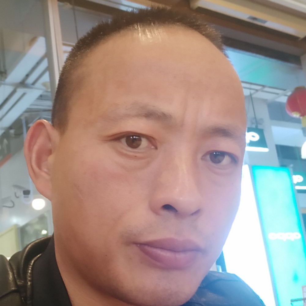 夜间的精灵的照片