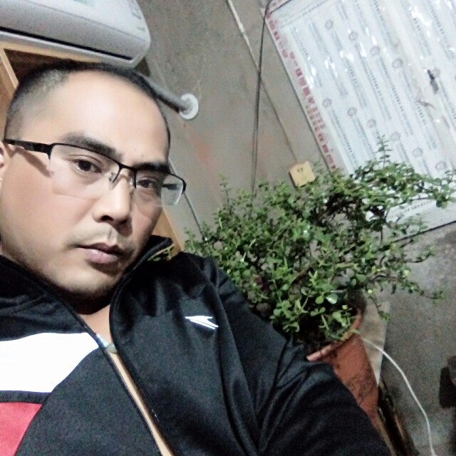 繁荣白猫的照片