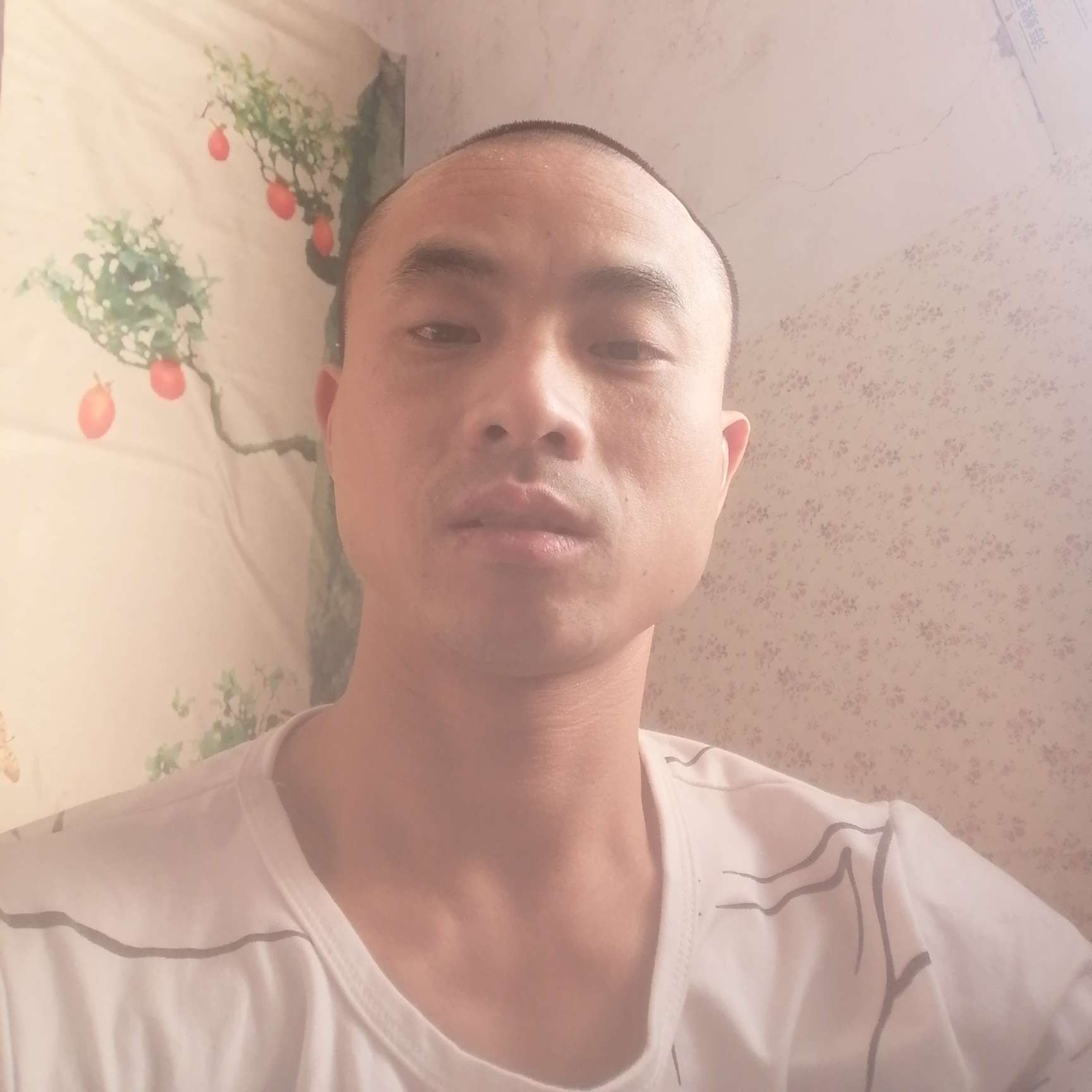 会员298740534的照片