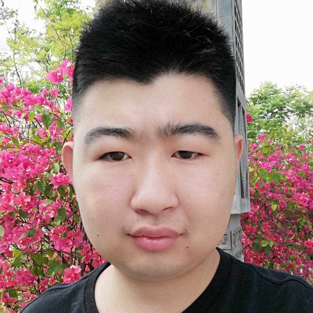 战斗机结实的照片
