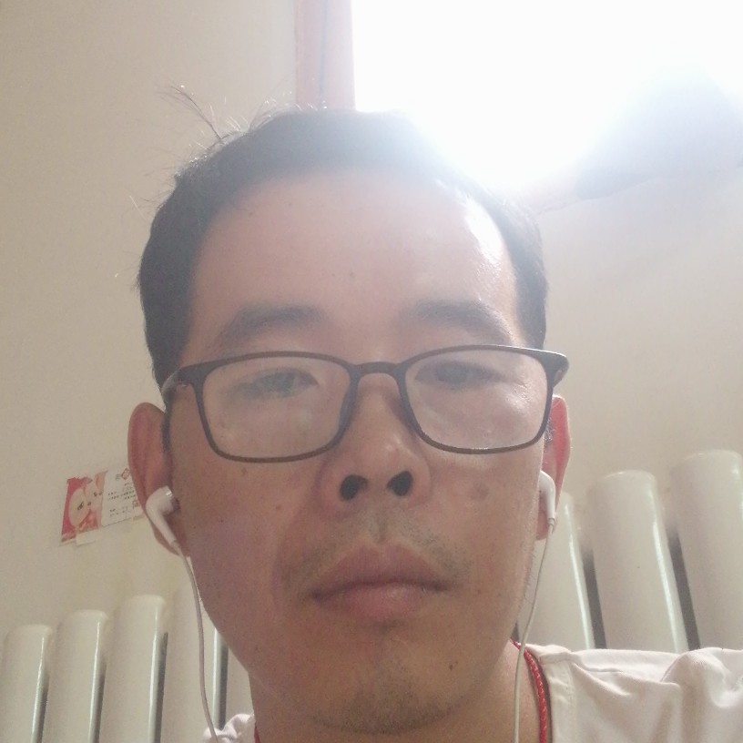 黄蜂高高的照片