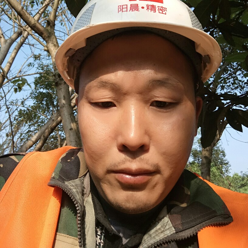 鸭子粗心的照片