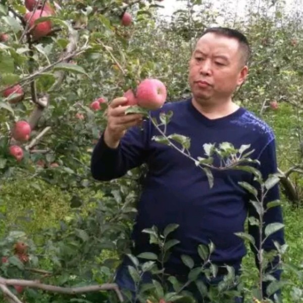 黑米愿着急的照片