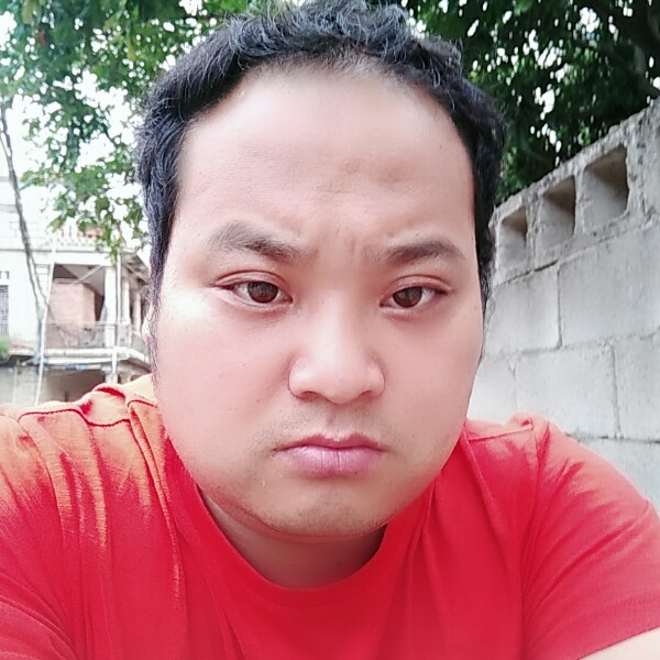 自信蚂蚁的照片