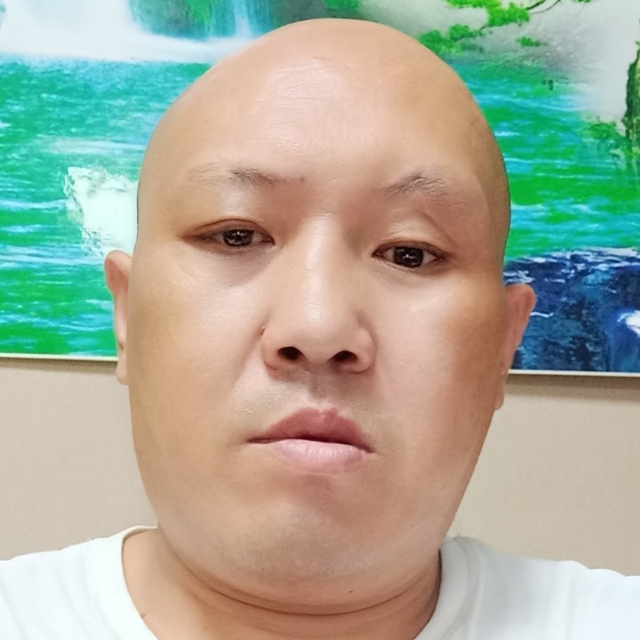 杏林一叶的照片
