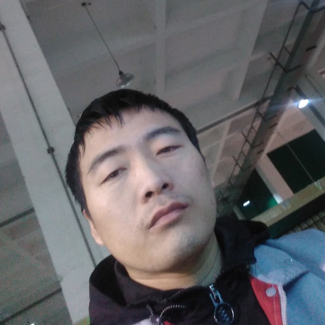 勤奋寒风的照片