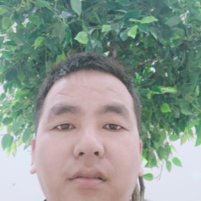 大地灵巧的照片