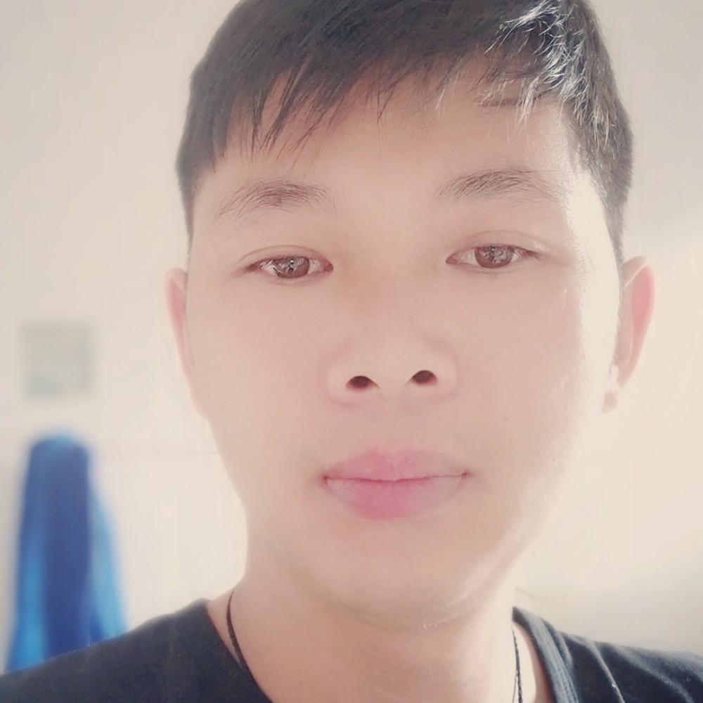 仙人掌独寂的照片