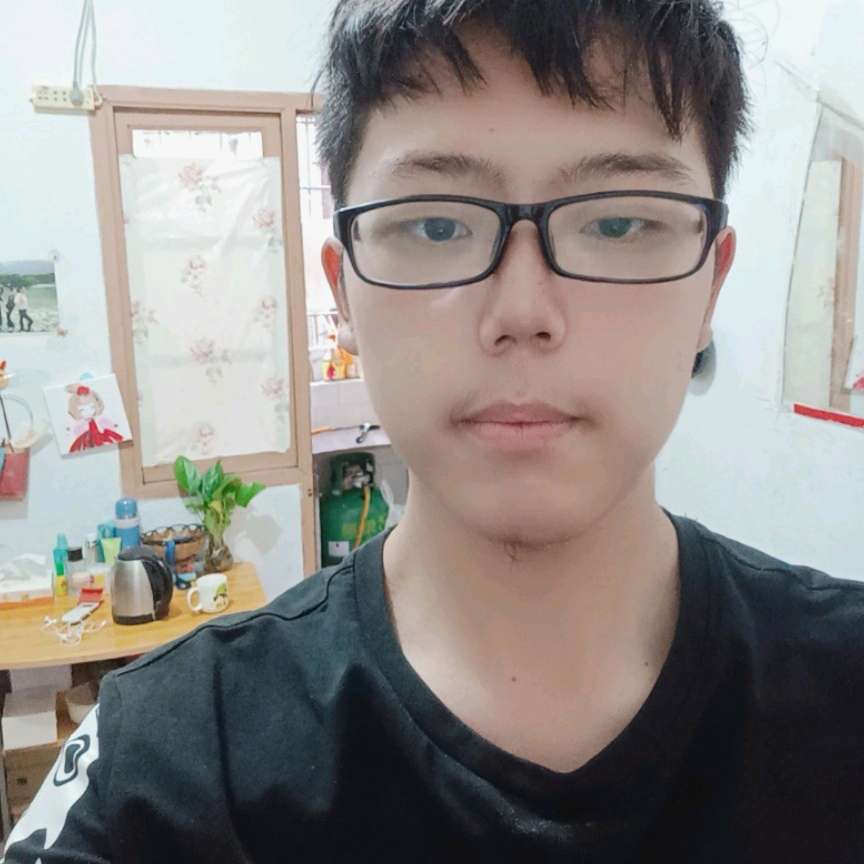 飘逸漫步小刺猬的照片