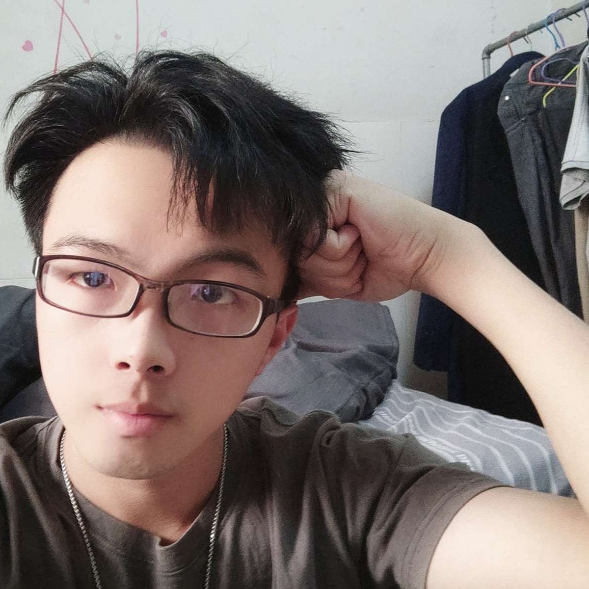 含羞草长得一般的照片