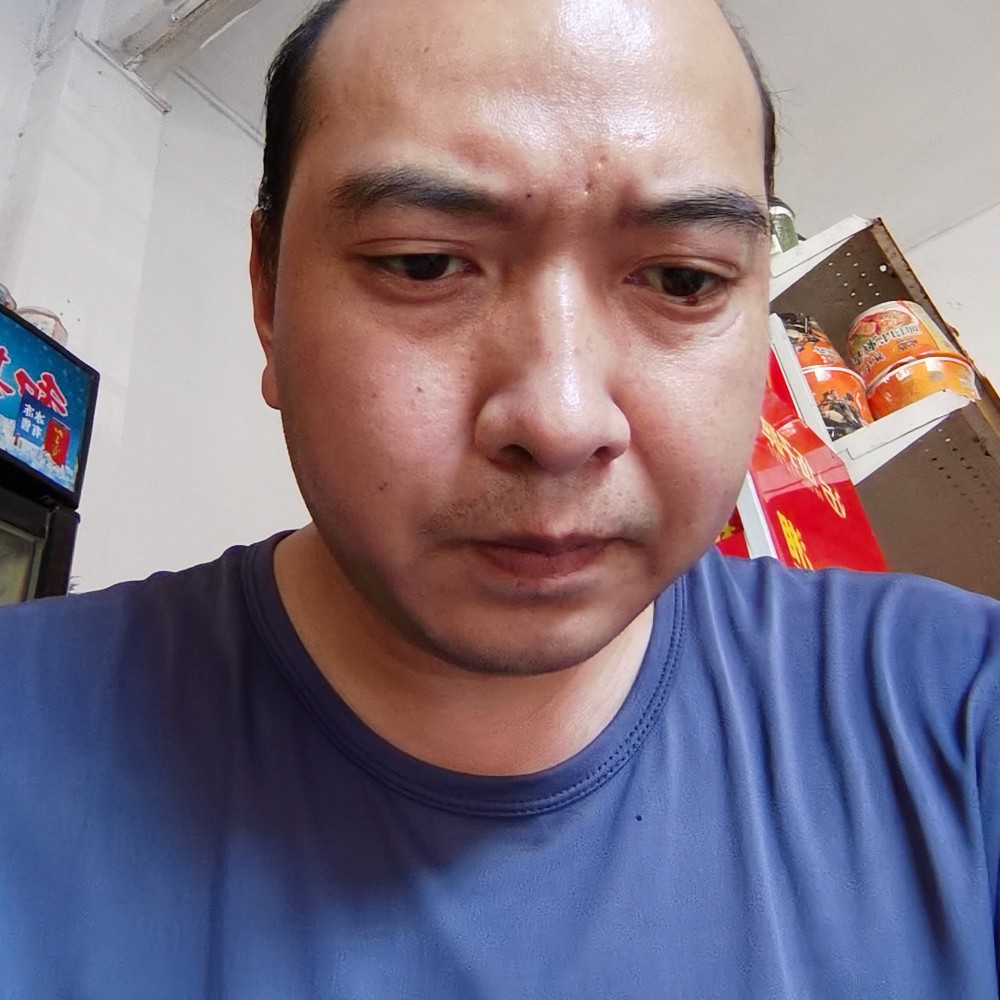 西伯利亚黑狼的照片