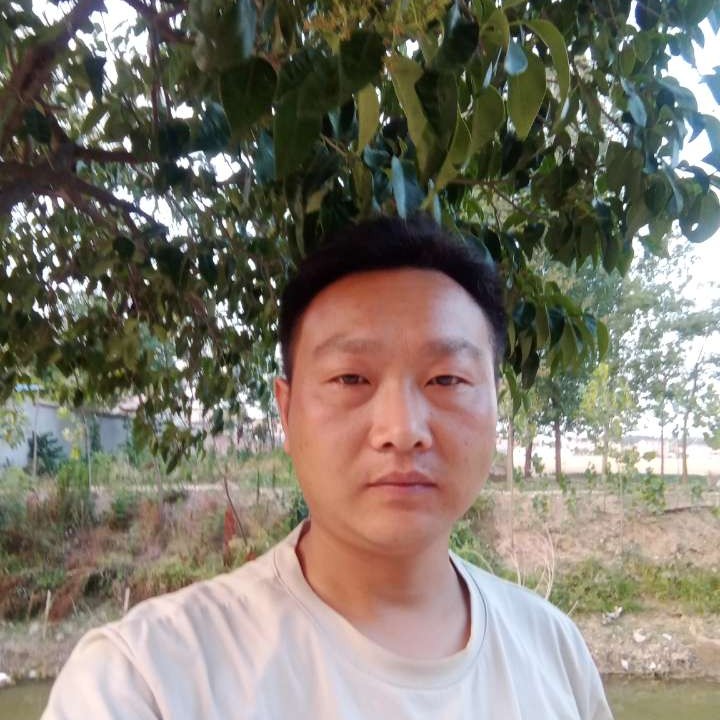 猫咪扯最后的王的照片
