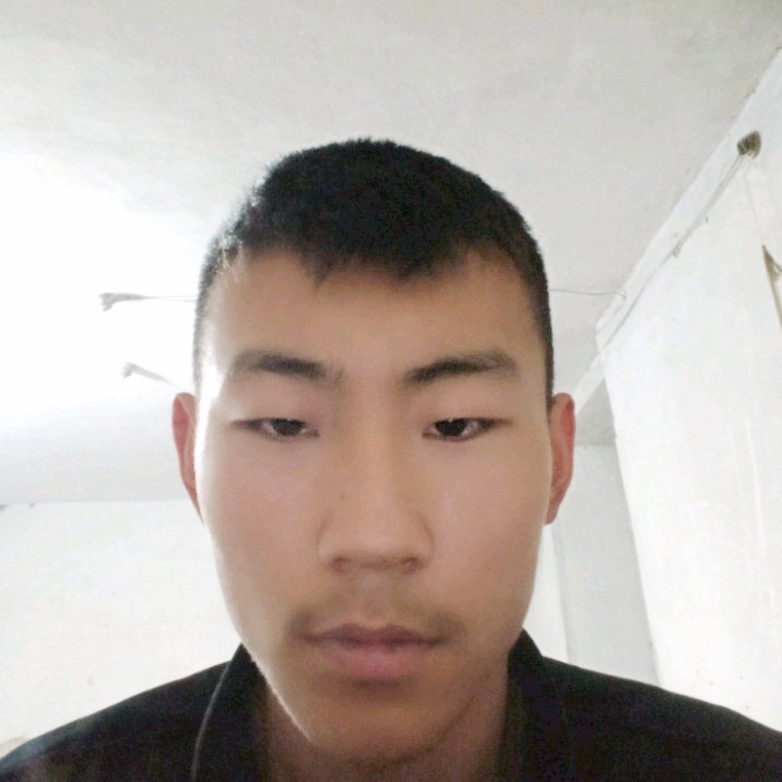 执着迎哈密瓜的照片