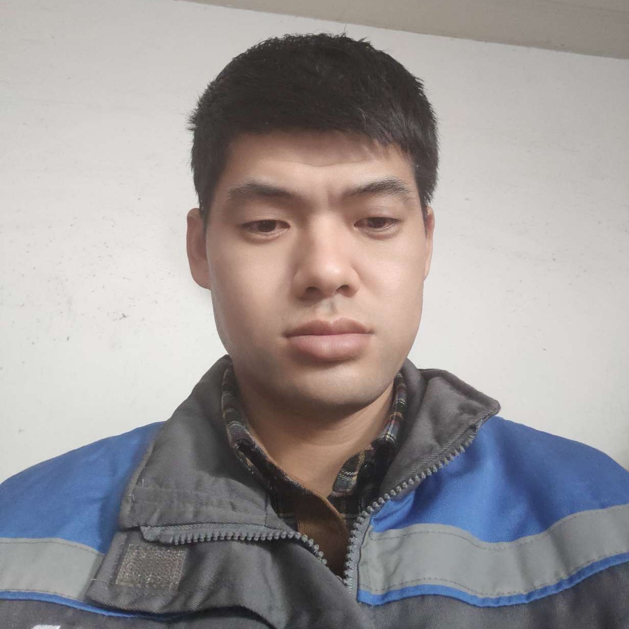 小海豚就哭泣的照片