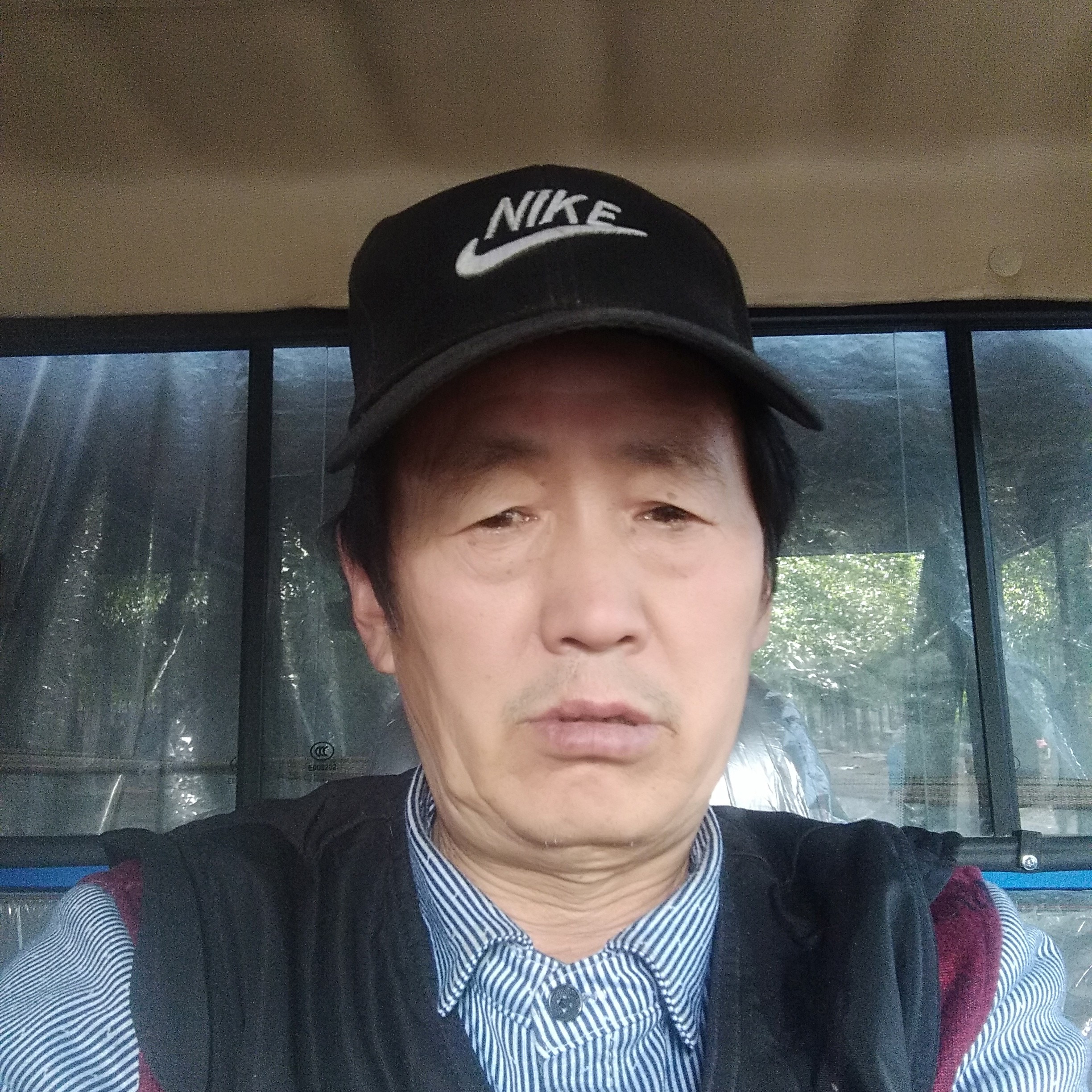 大象回眸俏皮的照片