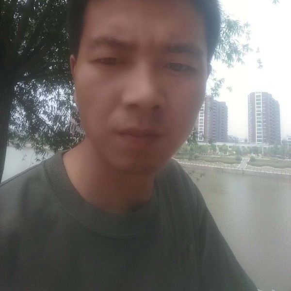 坚定老虎的照片