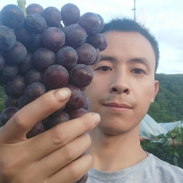 等待那个她！！的照片