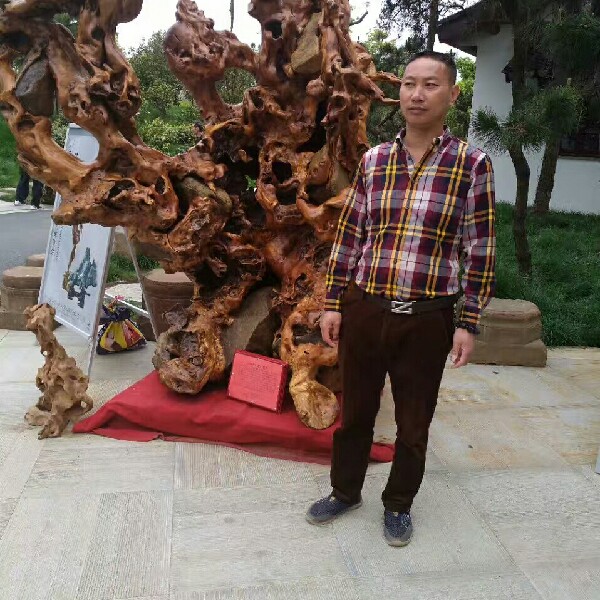 时光优美永远阳光的照片