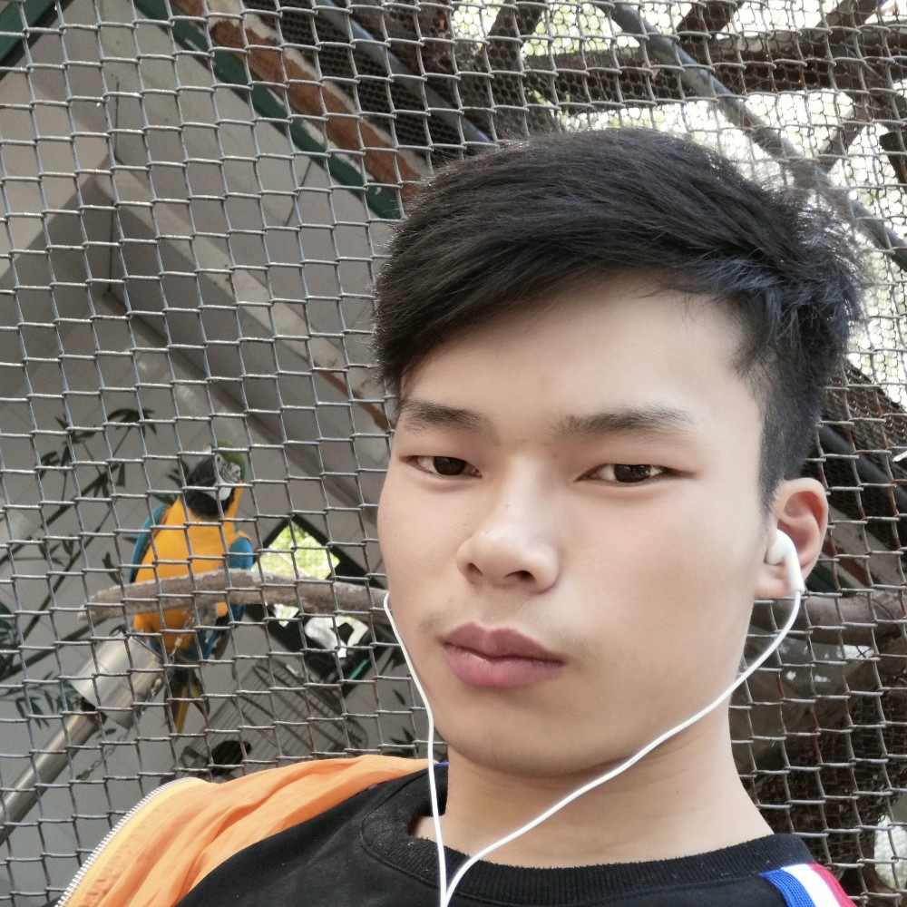 幸福等于火龙果的照片