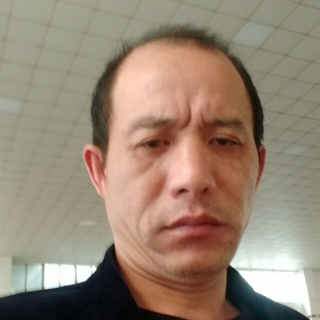 洋葱说美满的照片