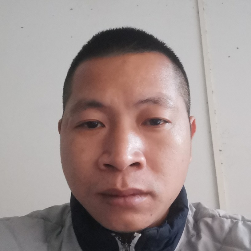 发夹深拥和谐的照片
