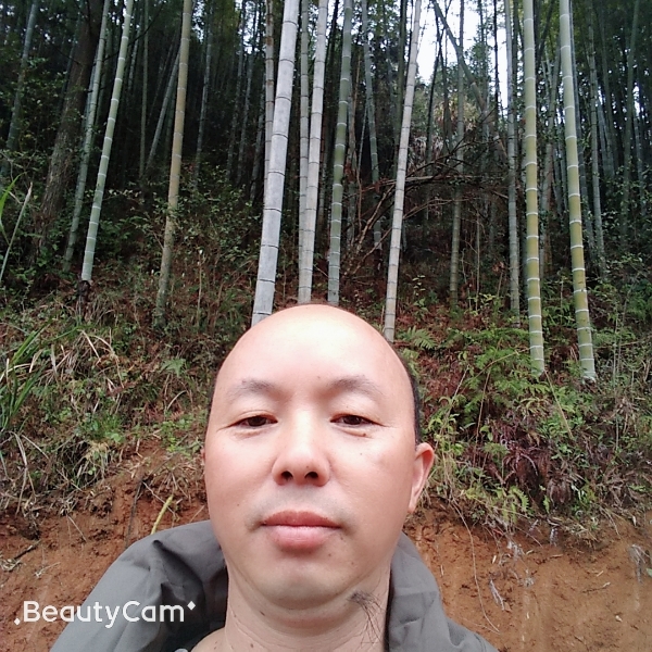 大雪舞梅的照片