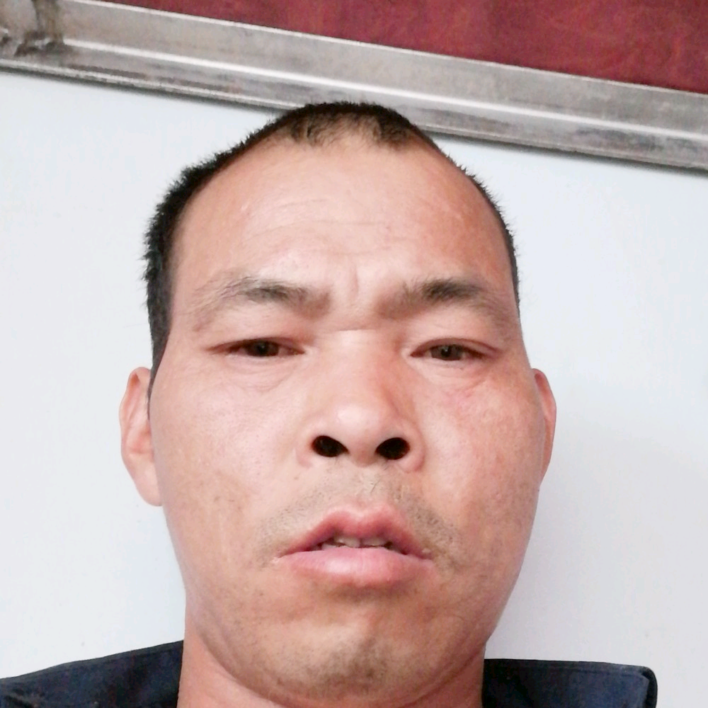 梦相、随的照片