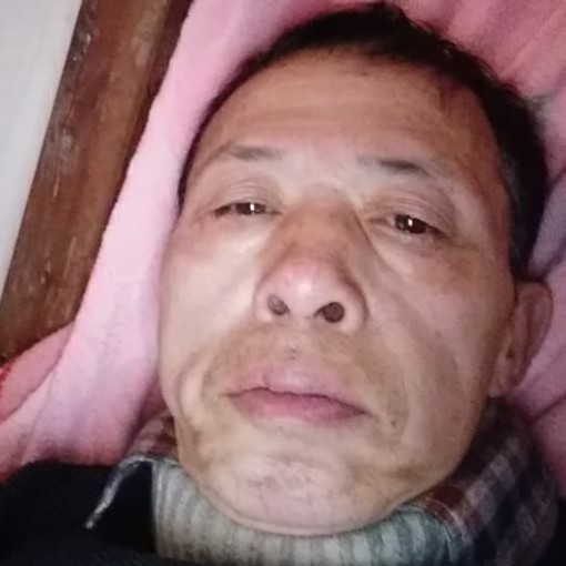 大气迎羊的照片