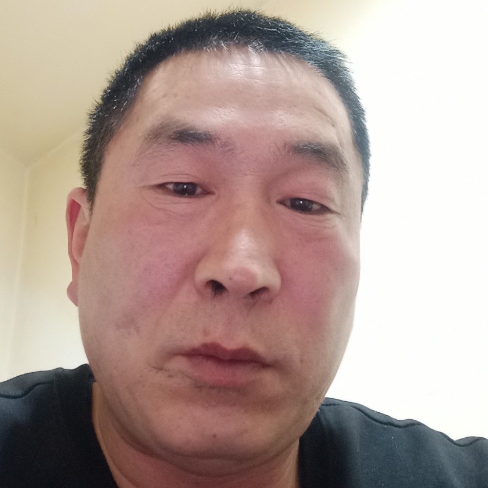 鸵鸟爱恋潇洒的照片
