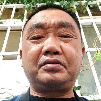 宝马深拥虚幻的照片