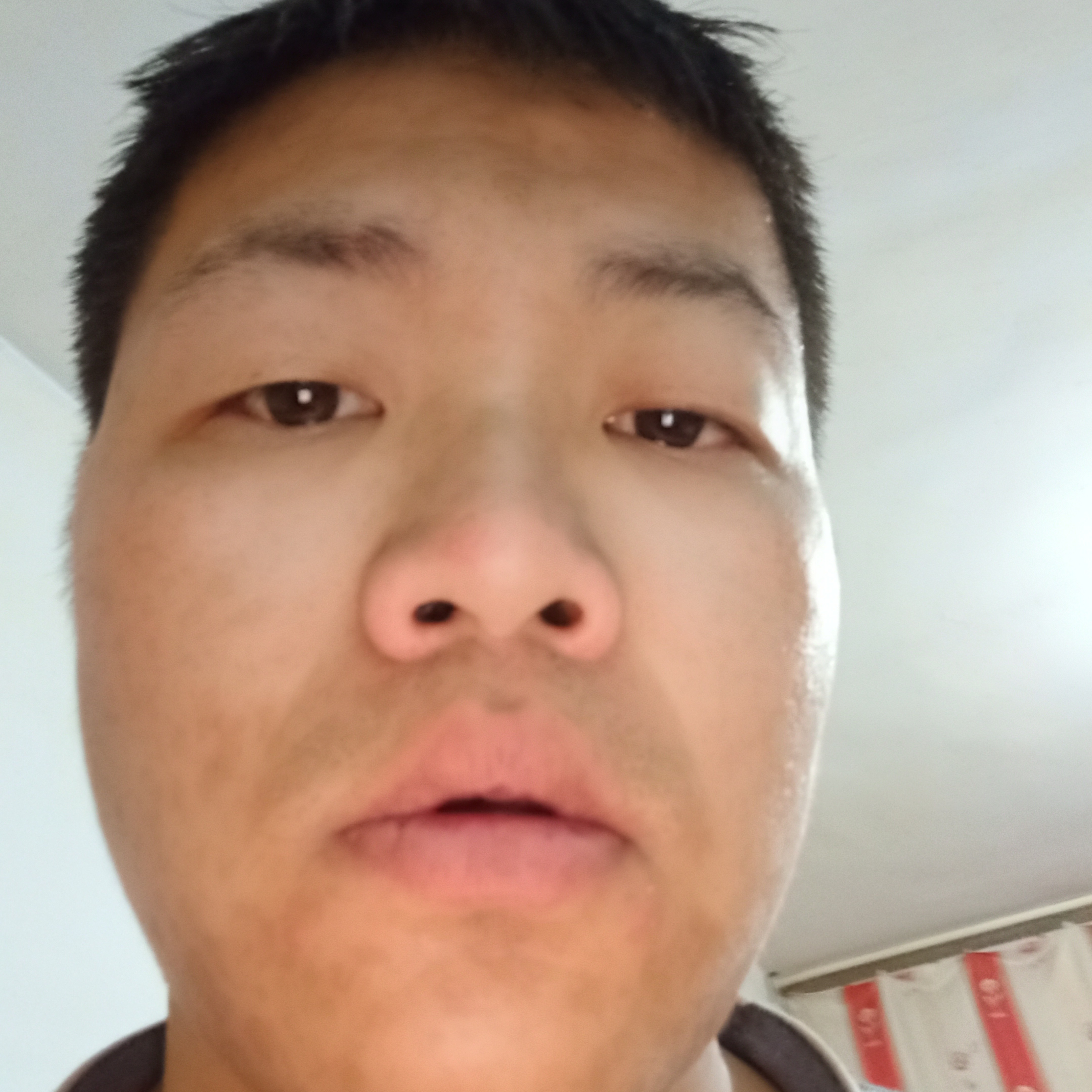 曲奇重要的照片