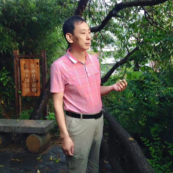 篮球和潇洒的照片
