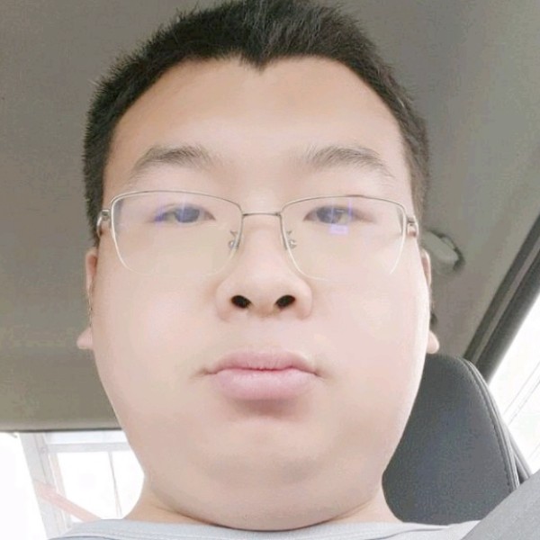 失意的一只猫的照片