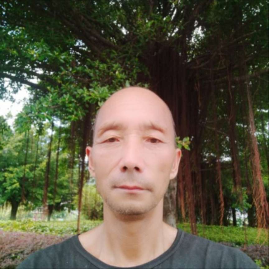 相約在春天的照片